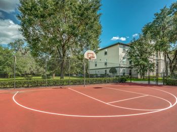 Basketball court